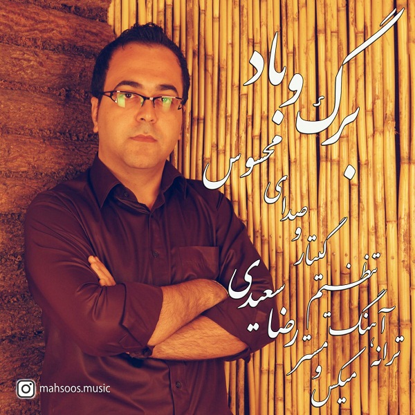 دانلود آهنگ محسوس برگ و باد